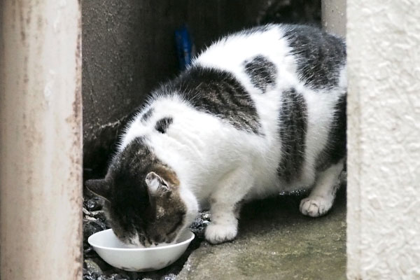 食べるしぐれ
