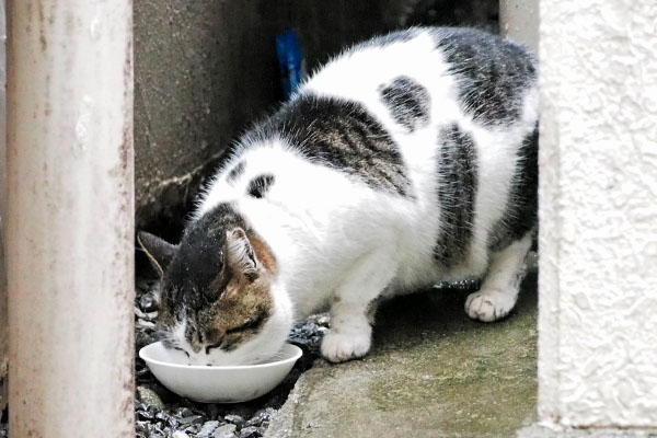 食べるしぐれ２