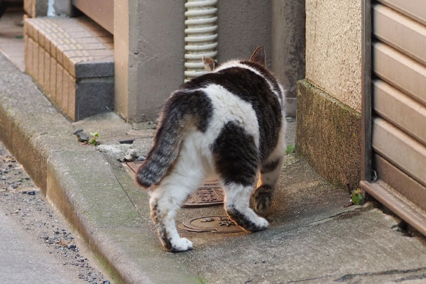 出てすぐ戻る　しぐれ