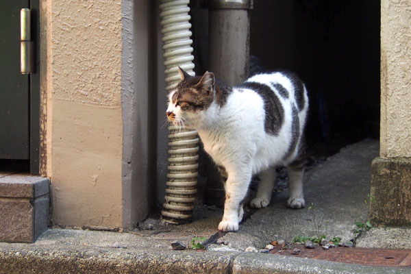 遠くみる　しぐれ