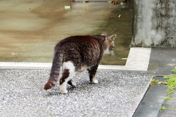 離れる　アシメ
