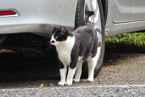 視線外す　まこ