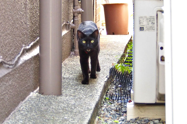 ちょっとー　モノタ