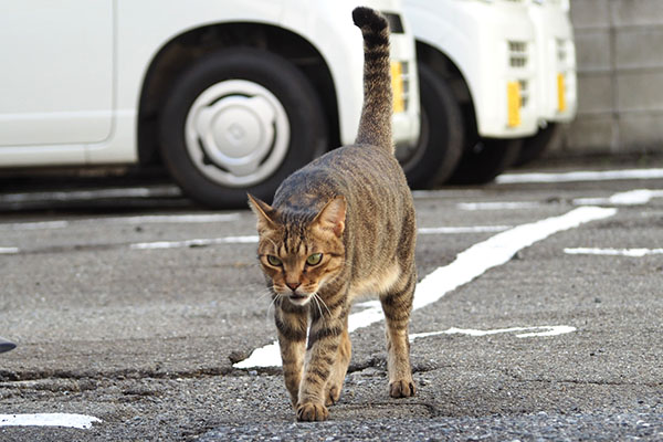一緒に帰ろ　らい