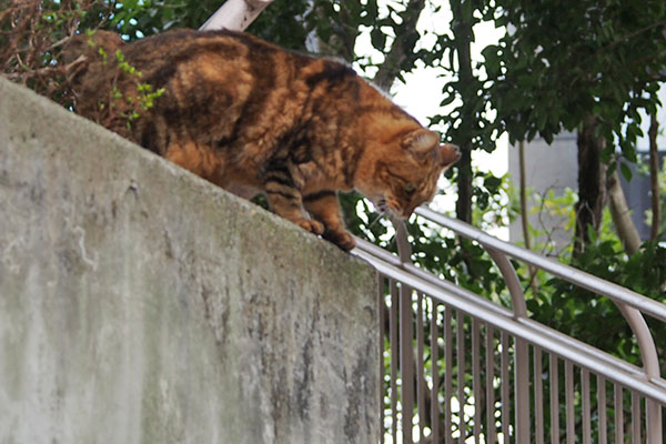 慎重に　クラタン