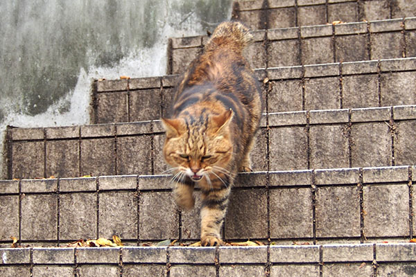 駆け下りる　クラタン