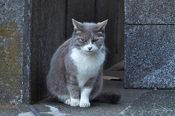 元気で　レックス