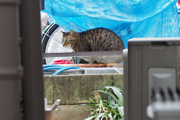 位置決め中　シマヲ