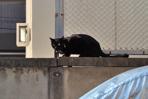 すんと前見る　モノタ