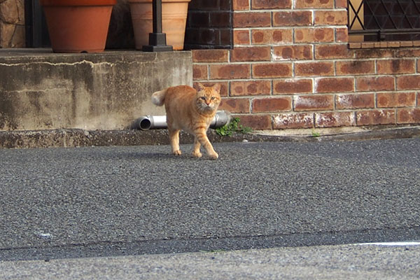 目が合う　そらちゃん