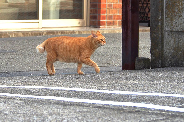 はい自宅前　そら