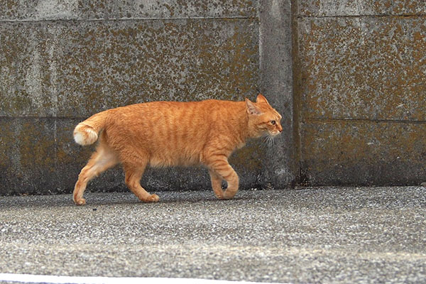 壁沿い　そら