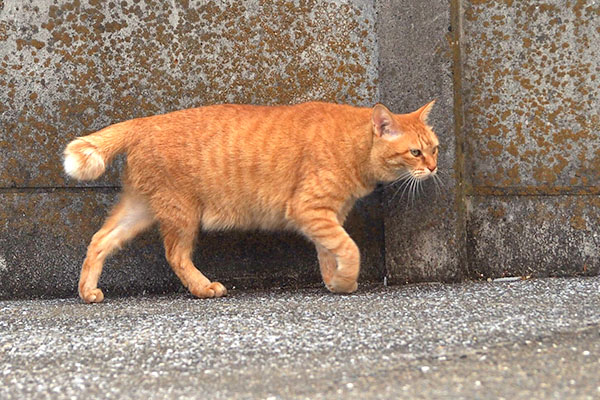 色々見てる　そら