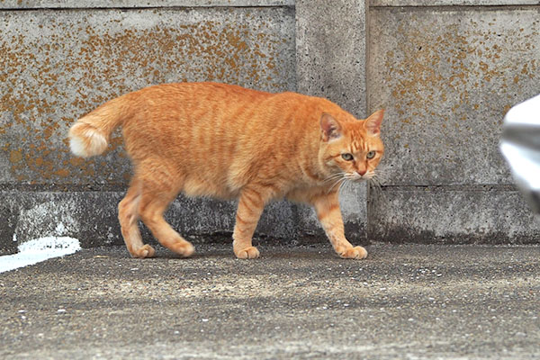 そら　モノタ見てる