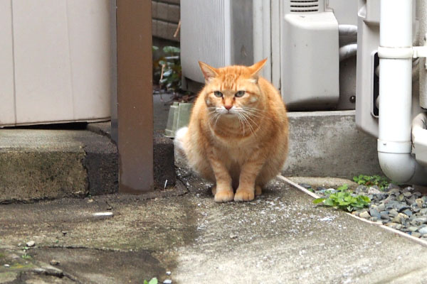 そらちゃんガン見