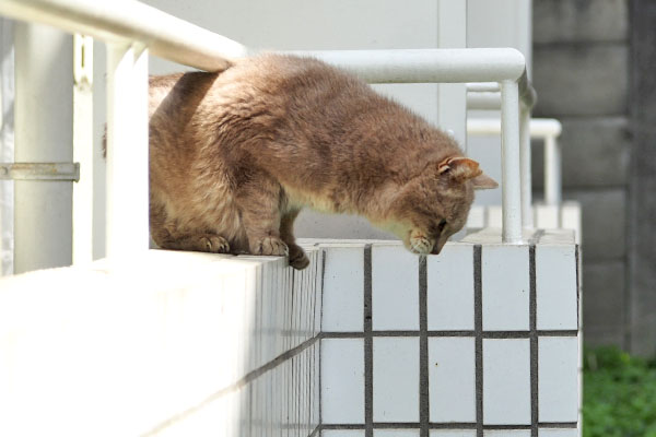下りる心の準備　グリ