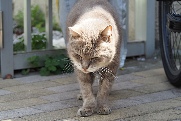 食べ終わる　グリ