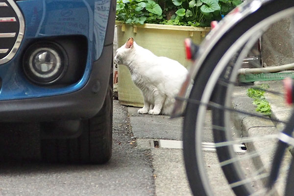 オーロラ発見