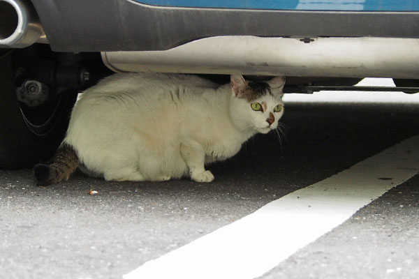 車の下　オーロラ２
