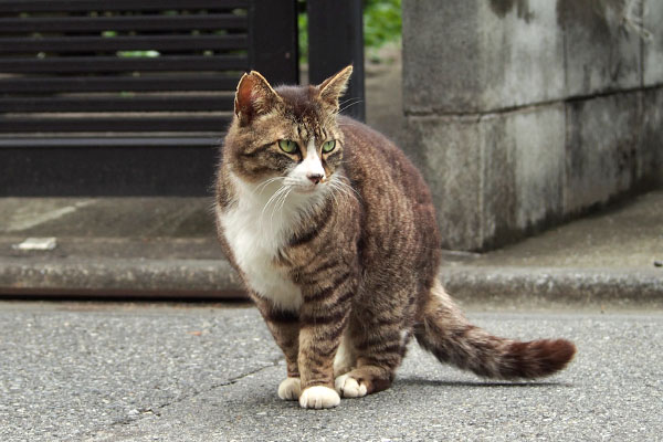 そこで止まるか　アシメ
