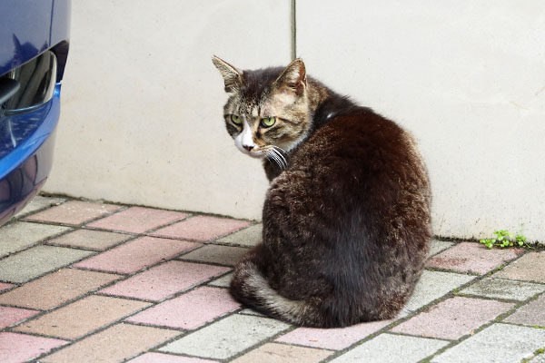 端っこで　アシメ