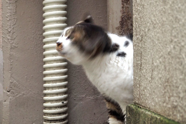 ぶるぶる～