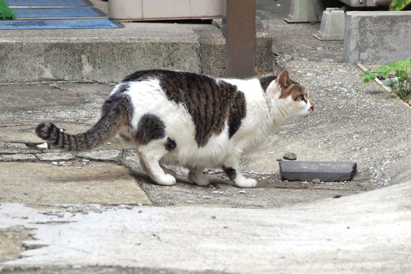 何が見える　セイ