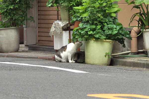 ケイをみつけた