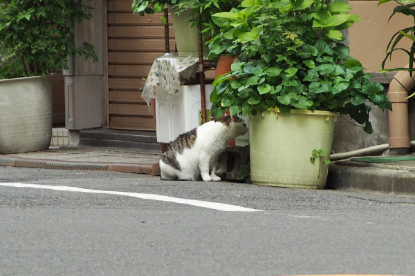 何してる　ケイ