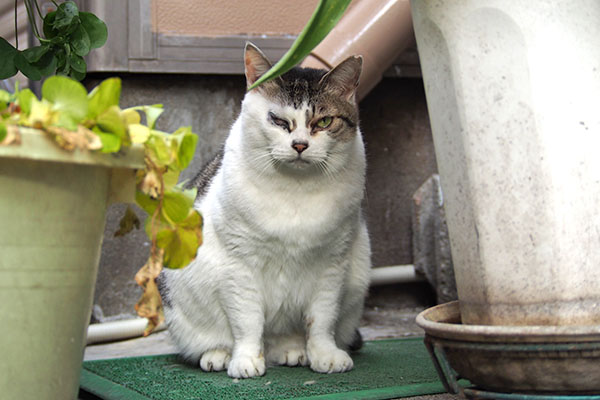 見つめる　ケイ