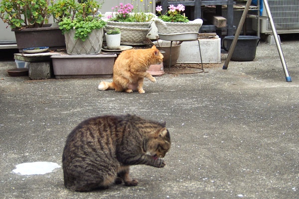 そらちゃん　何か見る