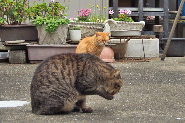 そらちゃん渋い顔でシマヲ見る