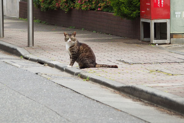 歩道に座る　アシメ