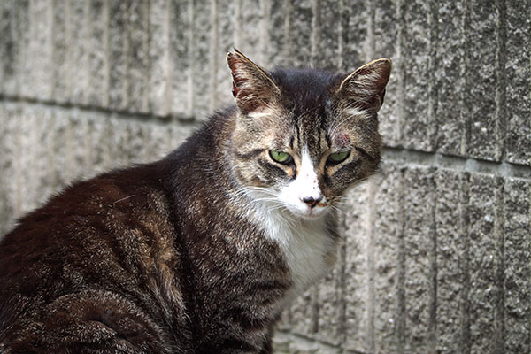 やっぱりね　アシメ