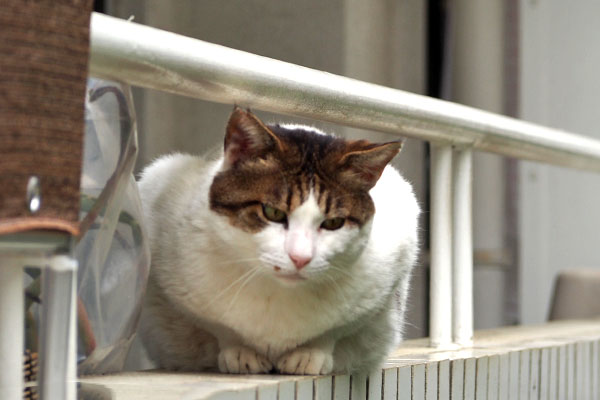 下を見る　ルーフ