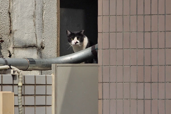 まこ　撮るヒト見る