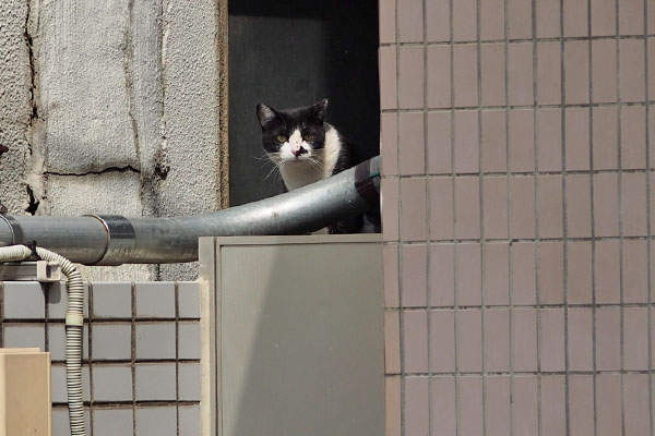 まこ　母を見る