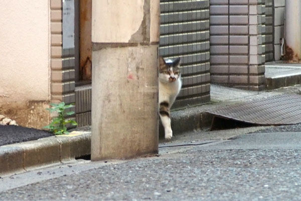 行くよ　しぐれ