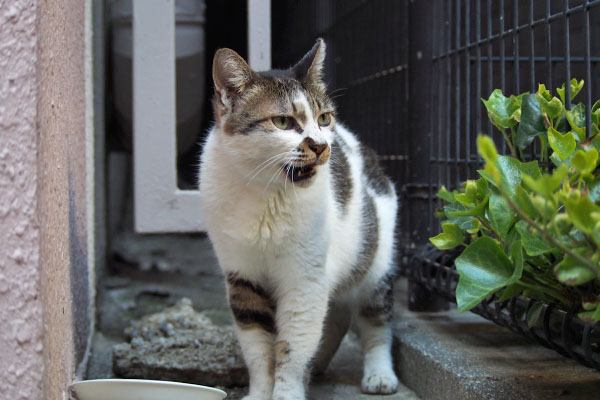 むは～しぐれ