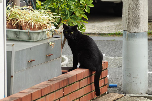 モノタ　水飲む場所