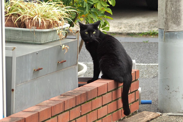 モノタ　意味なく警戒