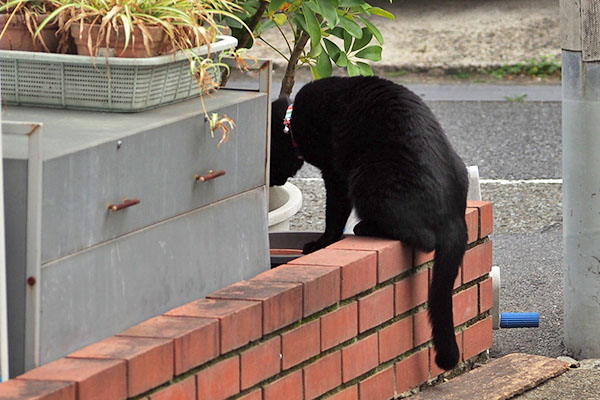 モノタ　水を確認