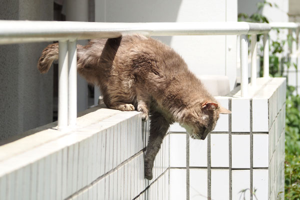 すっと手を伸ばす グリ