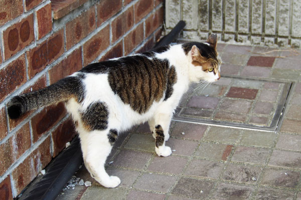 向かいのビルへ セイ