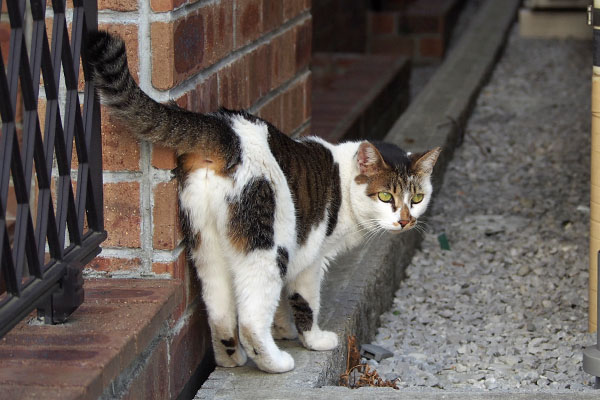 すきまへ セイ2