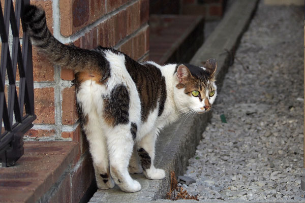 すきまへ セイ3