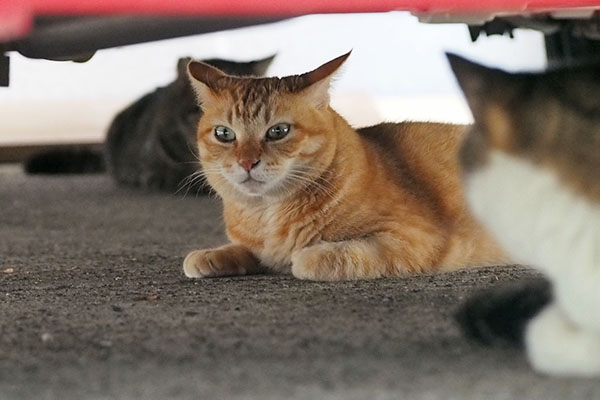 そらちゃん 緊張の面持ち