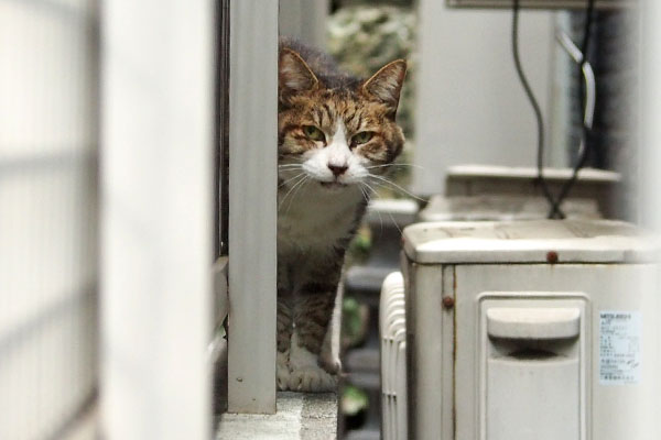 元気かえ サーヤ