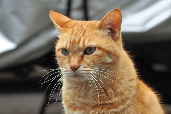 元気で何より そらちゃん