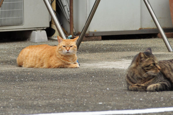 そらちゃんの目